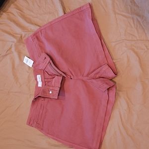 Ann Taylor Loft shorts